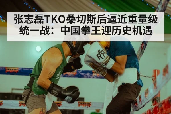 张志磊TKO桑切斯后逼近重量级统一战:中国拳王迎历史机遇